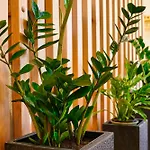 Domacija Kveder * Cerklje na Gorenjskem