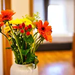 Domacija Kveder * Cerklje na Gorenjskem