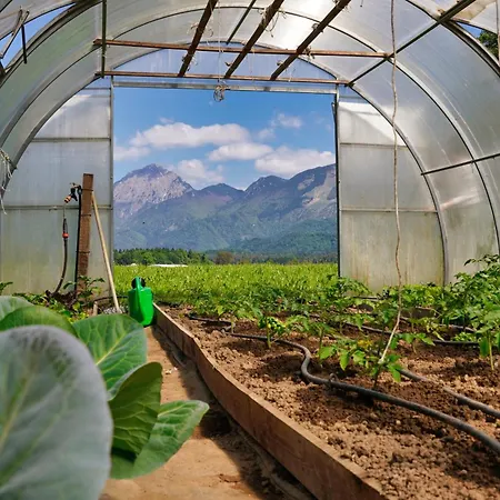 公寓 Domacija Kveder 戈雷尼斯卡地区采尔克列