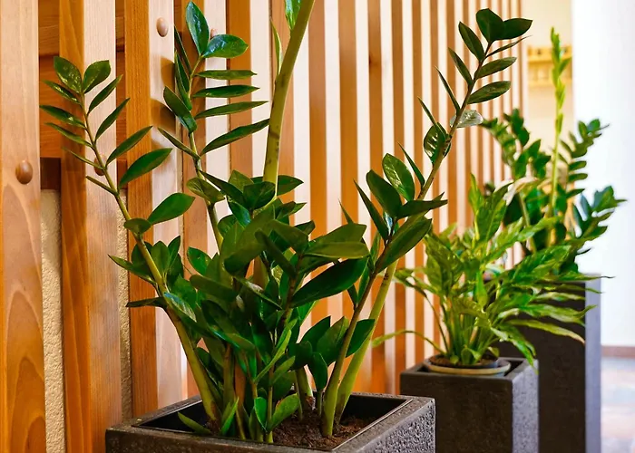 Domacija Kveder * Cerklje na Gorenjskem